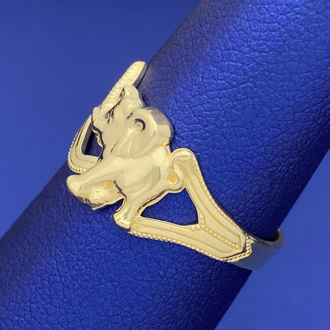 10k Elephant Ring