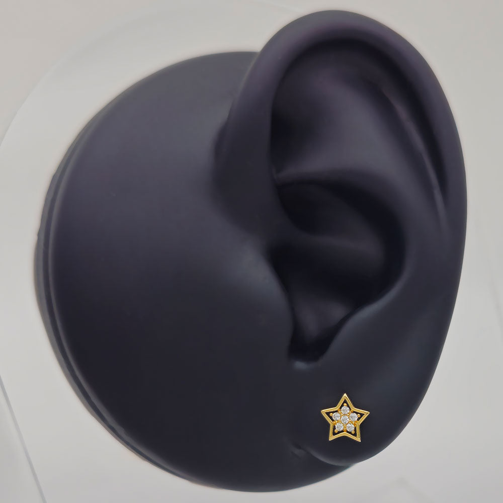 14k CZ Star with Border Stud Earrings on Black Ear Display