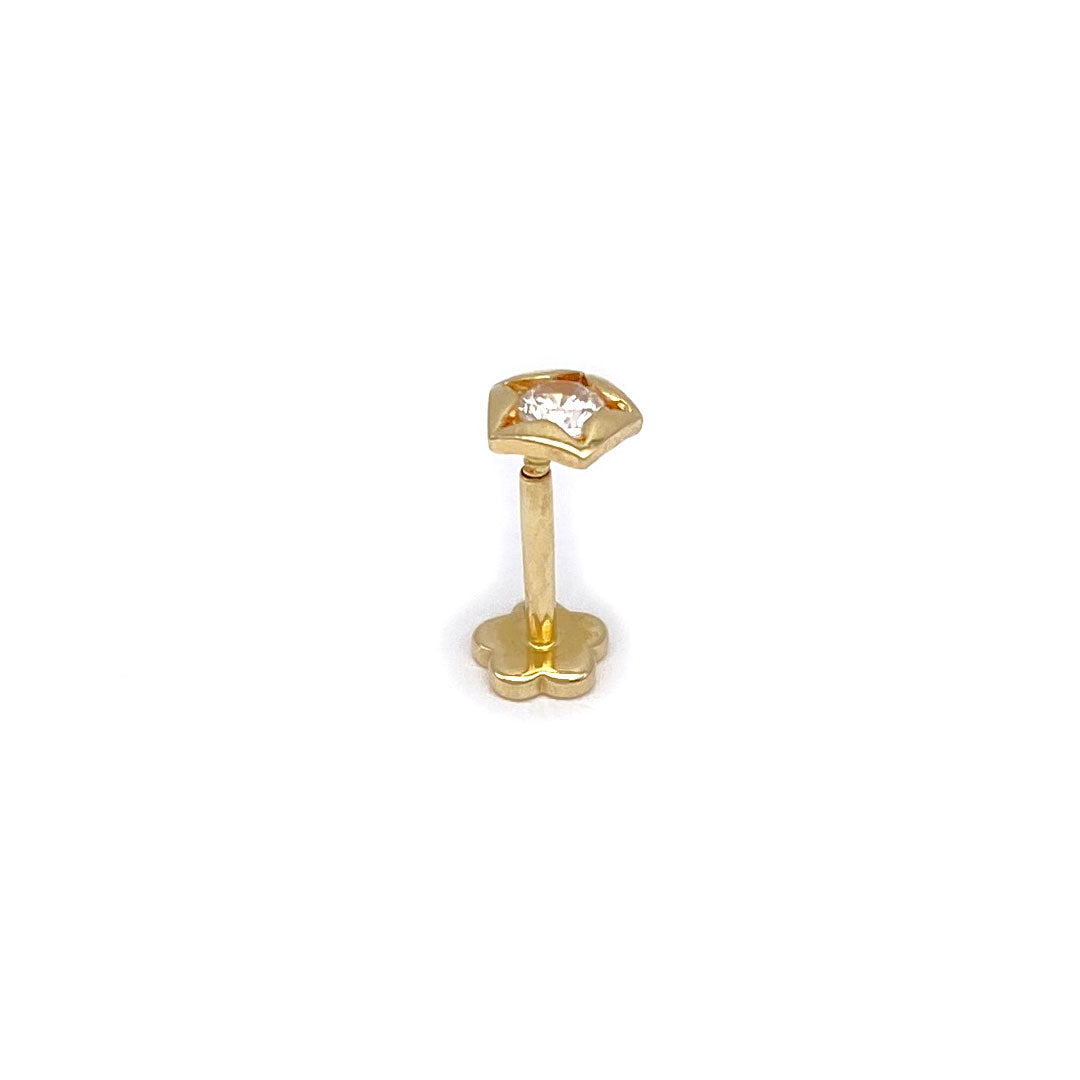 14k CZ Cute Star Internal Threaded Stud