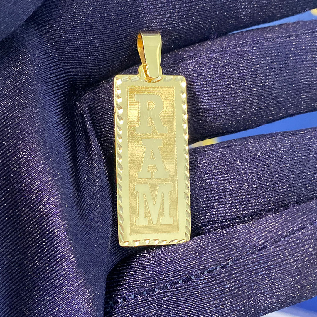 Ram Name Tag in Hand with Blue Glove
